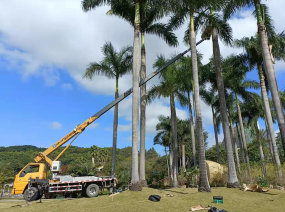 平涼吊裝與貨運服務 專業力量，高效運輸